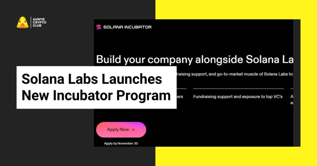 Solana Incubator Program